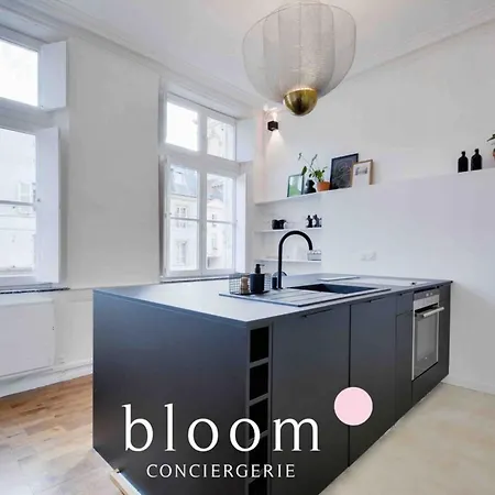 Lägenhet Le Saint Georges De Standing Nancy