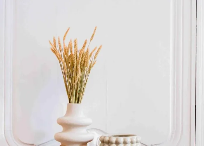 Apartamento Le Saint Georges De Standing Nancy